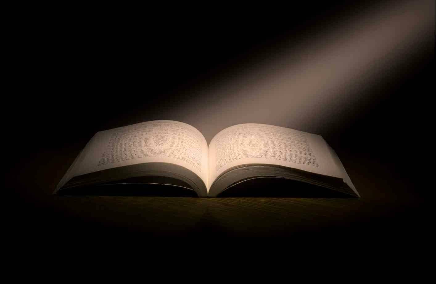 Unsere Top Buchempfehlungen Unsere Top Buchempfehlungen