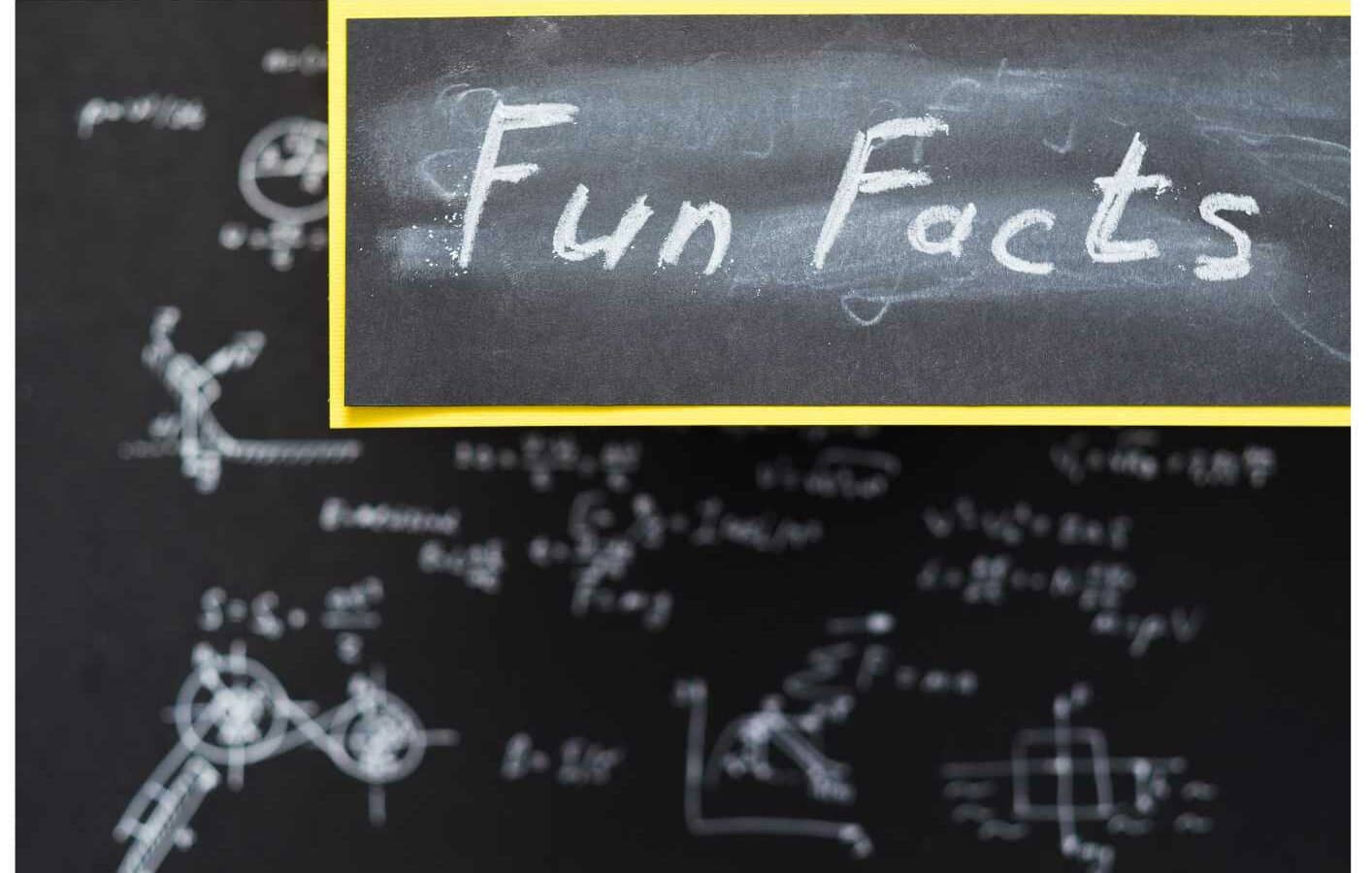 Fun Fact Laufpause Fun Fact Laufpause