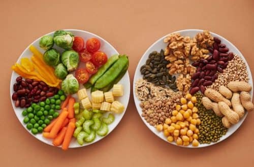 vegane Ernährung für Einsteiger vegane Ernährung für Einsteiger