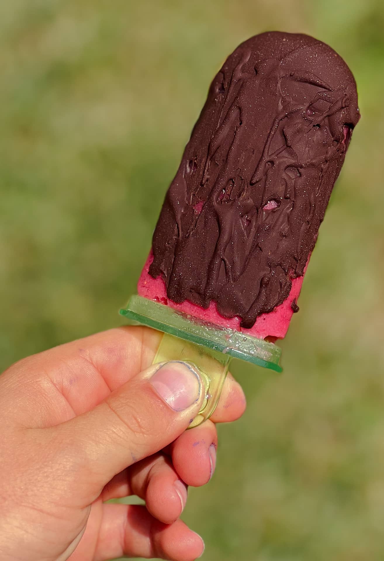 Erdbeereis zuckerfrei Erdbeereis zuckerfrei